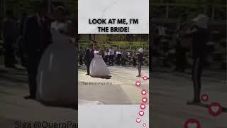 LOOK AT ME, I'M THE BRIDE! #bride #dog #veil #chaos #funny #love
