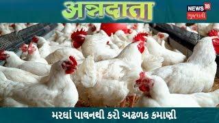 How to start Poultry Farm business? | ANNADATA | Poultry | News18 Gujarati