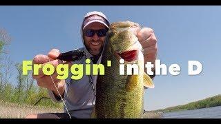 Froggin' in the D