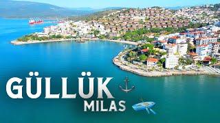 Güllük / Milas - Muğla