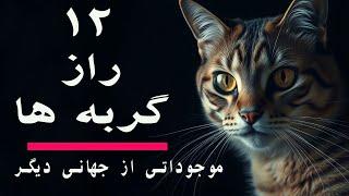 رازهای ناگفته‌ی زندگی گربه‌ها - فرازمینی های کوچک