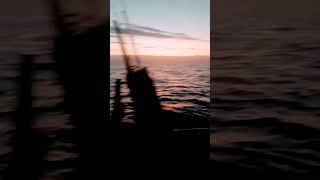 Senja sore di laut #mancing #nelayan #mancingmania #mancingikan #mancingikanbabon #mancingindonesia