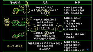 11301選修生物(一)1-2-11大分子的運輸(三射)(有字幕)