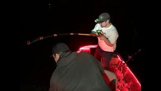 Catching monster channel cats at night