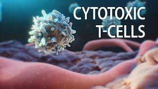 Cytotoxic T cells animation | killer T cells | cancer medical animation | #medicalanimation