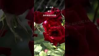 現代詩：《激昂》×林徽因 来挥动思想的利剑，舞它那一瞥最敏锐的锋芒 #poet #poetry #short #chinese #reading #詩歌 #林徽因 #激昂