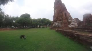 Our new friend and temple guide