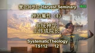 TS112   11 系统神学 1 Systematic Theology 1 王伟成院长 讲道解经 豐收神學院