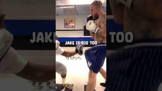 Sean O’Malley On How Big Jake Paul Is 