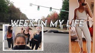 senior year: week in my life