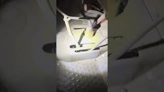 Dodge WC-51 Speedometer & Speedometer Cable