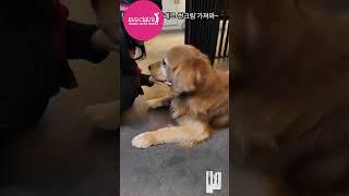 kbeauty에바끌레르골프전용화장품 #에바끌레르#금동모델 #에바끌레르 선크림좋아해