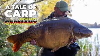 A Tale Of Carp with Dave Levy | German Monsters | S1 E4 | Carp Fishing