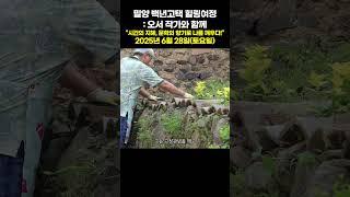 타임슬립? 밀양 고택에서 찾은 K-지혜!
