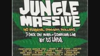 Wicked Wicked Jungle Is Massive (Ali G Indahouse)