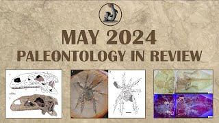 May 2024- Paleontology in Review