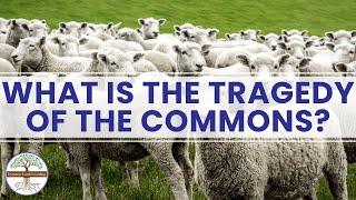 WHAT IS THE TRAGEDY OF THE COMMONS? Dynamic Earth Learning