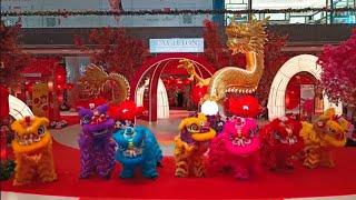 7 Lion Dance with Acrobatic Lion Dance