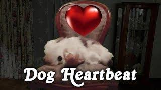 ▶️ Dog Heartbeat. Puppy Sleep Training. Dog Heartbeat Sound Effect. Heartbeat Sound. 10 Hours. 