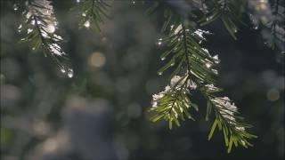 Secret Garden - Song from a Secret Garden