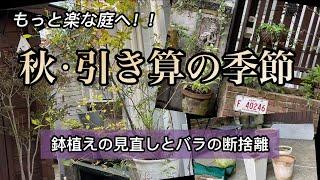 【もっと楽しめる庭に】鉢植えとバラの断捨離/ローメンテナンスの庭/ガーデニング