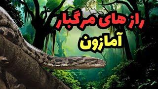 رازهای ترسناک آمازون:خطرناک‌ترین جنگل جهان چه چیزهایی را پنهان می‌کند؟