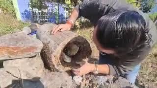 Neeraj Zimba Explains Bee Keeping And Honey Extraction Method