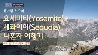 요세미티 국립공원 나혼자 여행기 (Feat. 세콰이어 국립공원) | Travel to Yosemite National Park (Feat. Sequoia National Park)