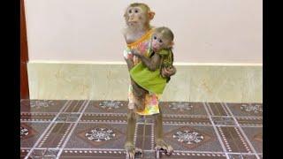 Sister Sovanny Standing Up Carry Lil Kobie Very Obediently Waiting Mom To Bring Salak Fruit To Eat,