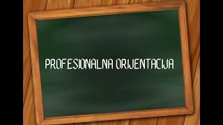 Profesionalna orijentacija