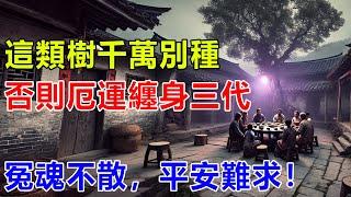 不可思議！這類樹千萬別種，否則厄運纏身三代，冤魂不散，平安難求！家中這個角落放一把剪刀，立刻橫財滾滾來，貴人相助、運勢暴漲