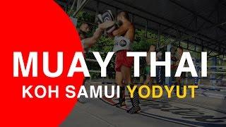 koh samui muay thai training