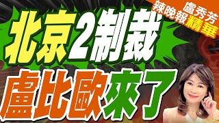 苑舉正質疑:川普的內閣 大部分用的人都是"草包"?｜首位遭陸制裁美國務卿  盧比歐如何影響中美台?｜北京2制裁  盧比歐來了【盧秀芳辣晚報】精華版@中天新聞CtiNews