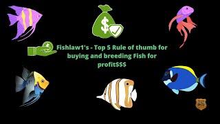 Fishlaw1's - Top 5 Rule of Thumb for Buying & Breeding Fish for Profit $$$