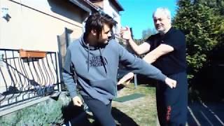 Wing Chun Siu Nim Tao 1.  -  Chup Sau  (Lo Man Kam Wing Chun CEE)