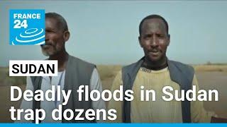 Flooding in Sudan leaves dozens dead and more stranded • FRANCE 24 English