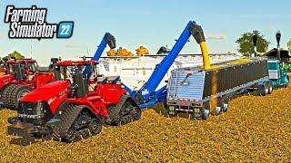 HARVESTING CORN WITH MOTHERBINS! (HOLDS 8,000 BUSHELS!) | BIG TIME FARMING