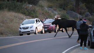 Timed Reservations for the third busiest National Park