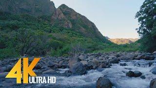 3 Hours Hawaiian Mountain Stream - 4K Relaxing Nature Video - Iao Valley State Park - Maui, Hawaii