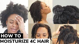 The ONLY Video You Need on How to Moisturize DRY 4C Natural Hair | DETAILED TUTORIAL  