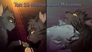 °Топ 10 meme Коты-Воители° | русские аниматоры