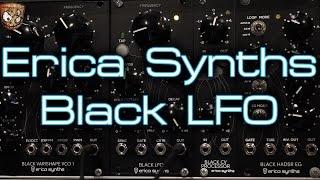 Erica Synths - Black LFO