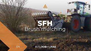 FAE SFH/HP 250 - Multitask 3 in 1 - forestry mulcher, forestry tiller, rock crusher