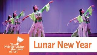 Lunar New Year Dance Performance