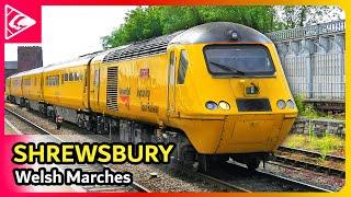 Trains at Shrewsbury 14/06/2024