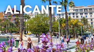 Alicante SPAIN | Sunny Alicante Walking Tour