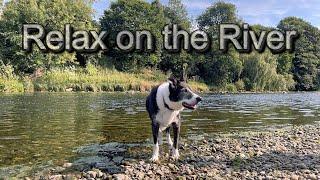 Relaxing walk along the River Eden - Cumbria - Lake District