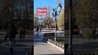 ОДЕССАГОРСАД! #одесса #одессасейчас #одессасегодня #odessa