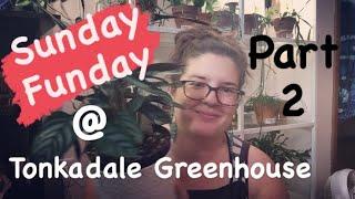 Tonkadale Greenhouse Haul! (Part 2)