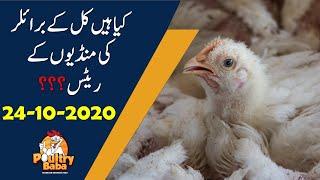 Broiler farm gate rates 24 October 2020 in Pakistan   Poultry rates   Chicken prices in Pakistan